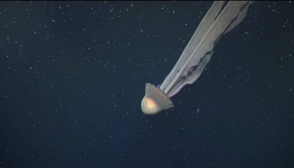 624870891_901136835990942_7223648700633377709_n