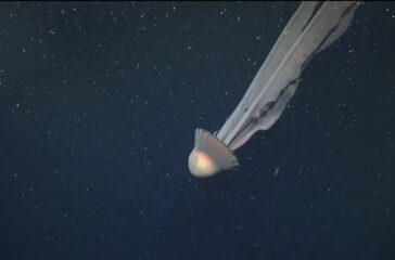 624870891_901136835990942_7223648700633377709_n