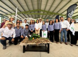 652279365_934580282646597_3230165653214399900_n