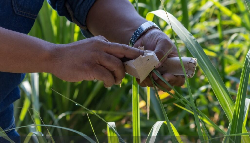 667672426_953042250800400_5156515161443262628_n