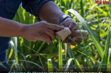 667672426_953042250800400_5156515161443262628_n