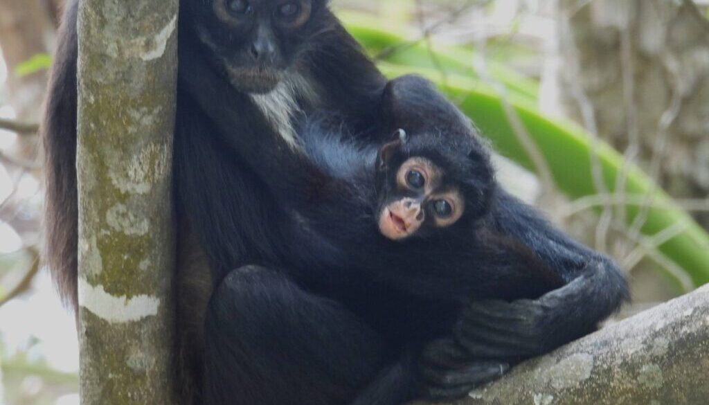 675253980_964149293023029_6173490763174340212_n