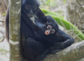 675253980_964149293023029_6173490763174340212_n