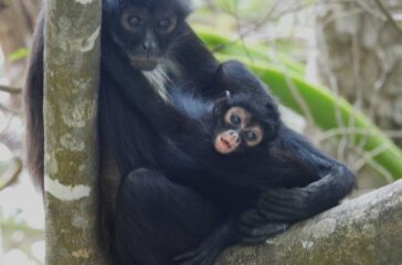 675253980_964149293023029_6173490763174340212_n