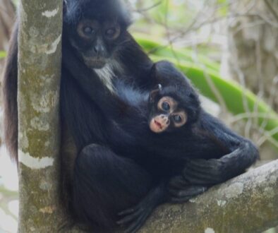 675253980_964149293023029_6173490763174340212_n