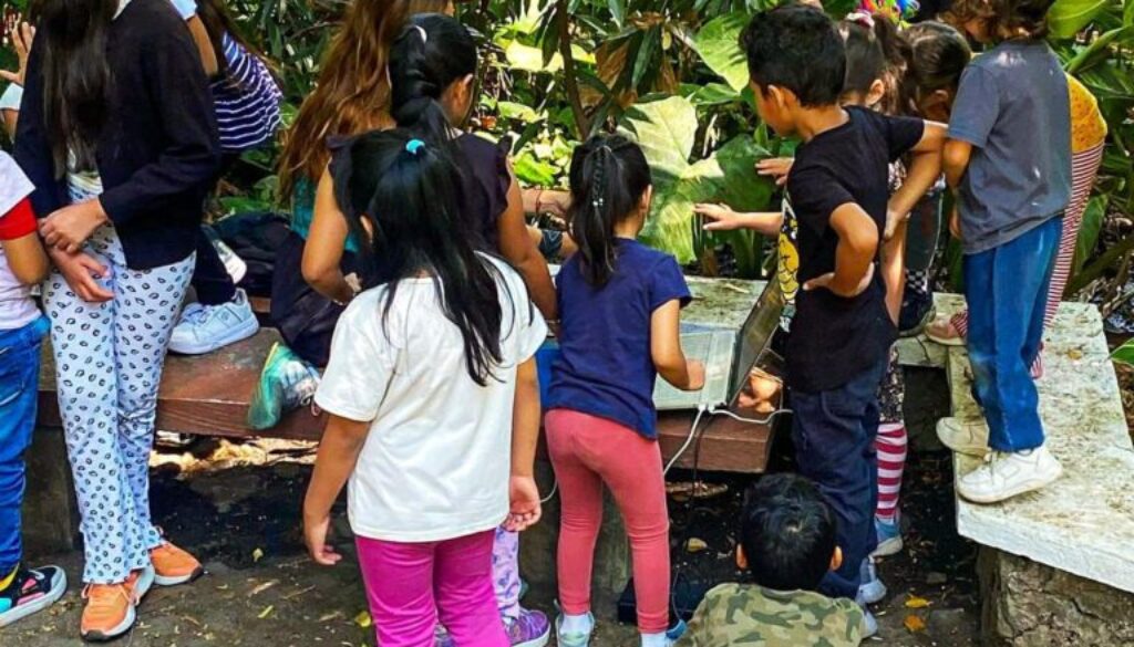 678651361_967210826050209_3967117563114251309_n